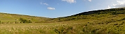 David Plant Photography - Wildlife Photography - North York Moors - A